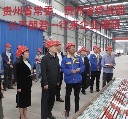 貴州省常委、貴州省統戰部長嚴朝君一行來企業調研